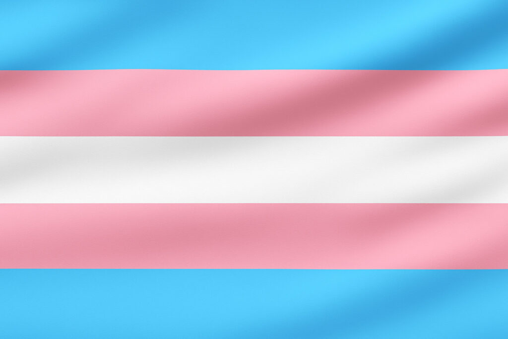 Bandeira transgênero com faixas em azul, rosa e branco, anarcotransumanistas representando a luta pela autonomia corporal, liberdade morfológica e direito à autodeterminação tecnológica.